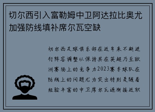 切尔西引入富勒姆中卫阿达拉比奥尤加强防线填补席尔瓦空缺